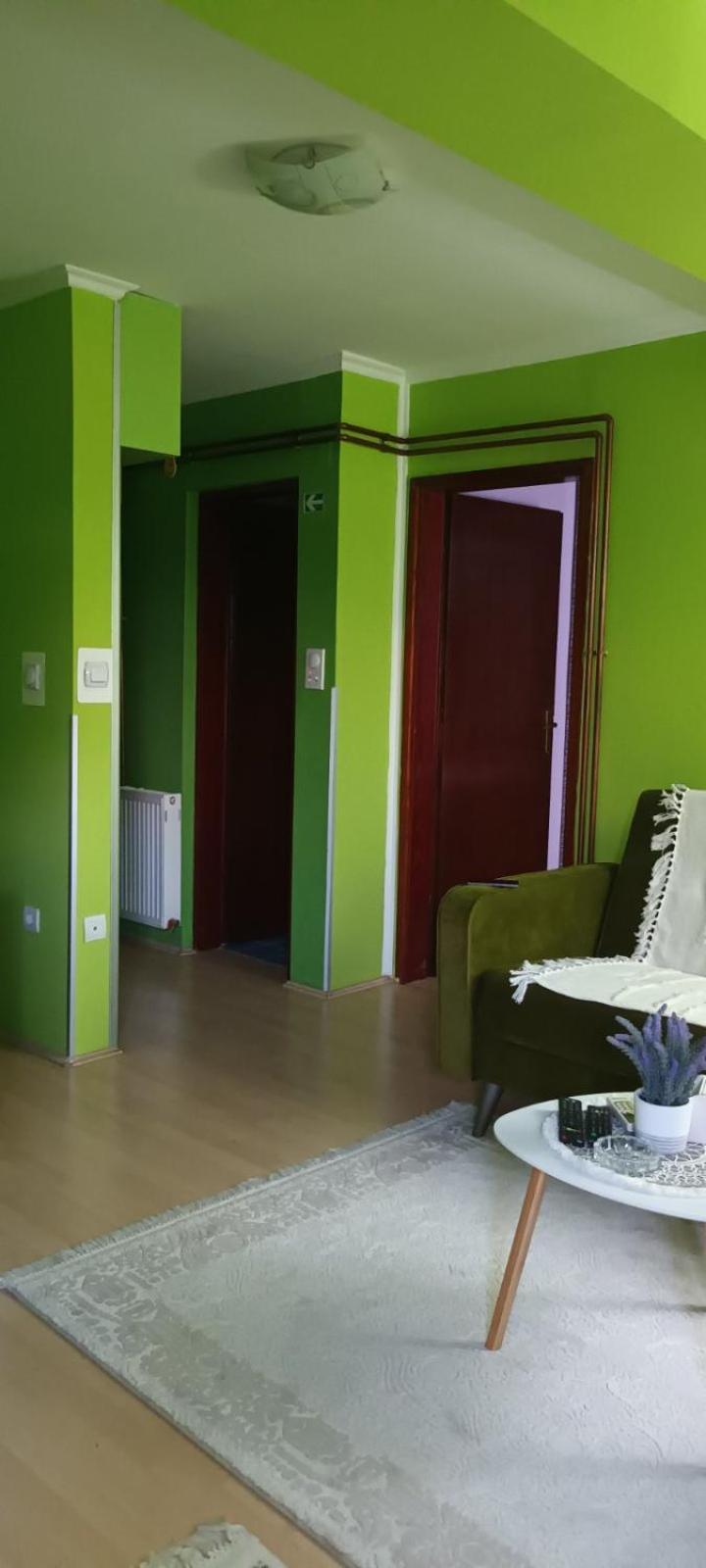 Apartman Gaga Apartment Pirot Luaran gambar